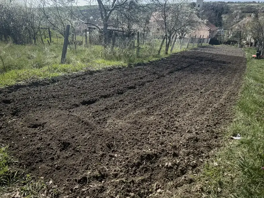 Rendezett, virágzó kert rotakapálás és gyepesítés után, Tiszta Zóna